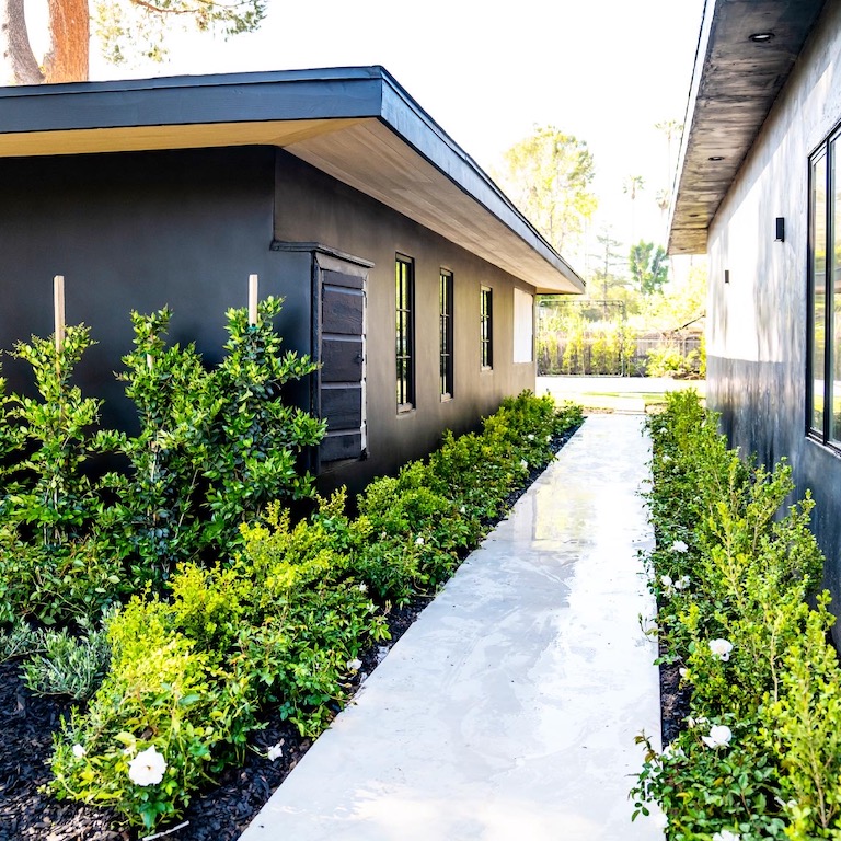 Beautiful plant-lined outdoor walkway