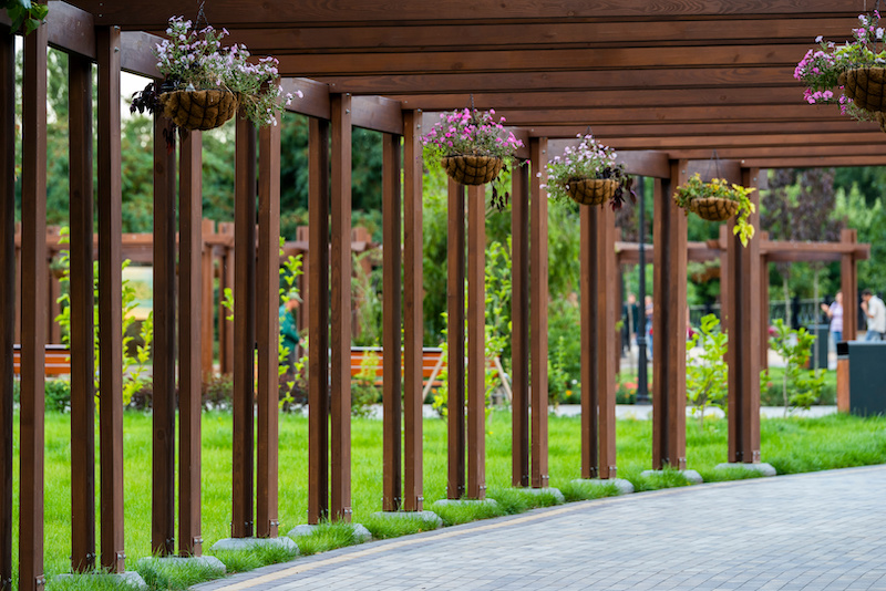 Beautiful wooden pergola with purple flowers